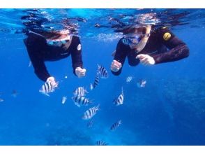 [Okinawa Kerama Half-Day Tour] <Free high-quality underwater photos and videos> Easy half-day snorkeling course in Kerama