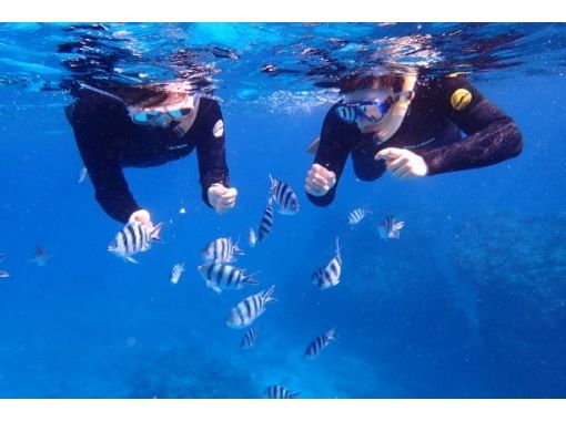 [Okinawa Kerama Half-Day Tour] <Free high-quality underwater photos and videos> Easy half-day snorkeling course in Keramaの画像