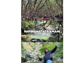 【奄美大島 / 1組様限定貸切案内】マングローブカヌーと巨大豆の木と神秘の滝ツアー