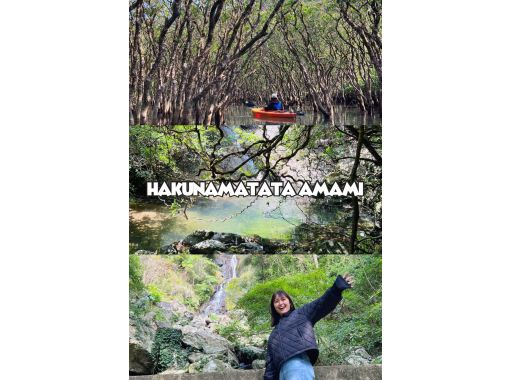 【奄美大島 / 1組様限定貸切案内】マングローブカヌーと巨大豆の木と神秘の滝ツアーの画像