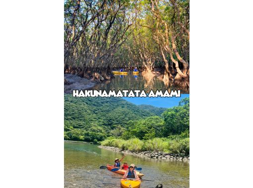 【奄美大島 / 1組様限定貸切案内】2時間マングローブカヌーの画像