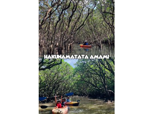 【奄美大島 / 1組様限定貸切案内】3時間マングローブカヌーの画像
