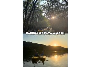 【奄美大島 / 1組様限定貸切案内】黄昏サンセットマングローブカヌーツアー