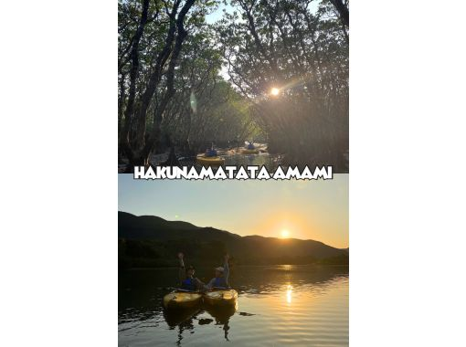 【奄美大島 / 1組様限定貸切案内】黄昏サンセットマングローブカヌーツアーの画像