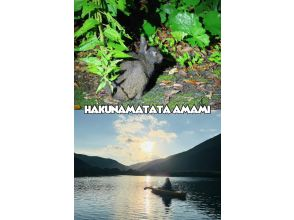 【奄美大島 / 1組様限定貸切案内】サンセットマングローブカヌーとアマミノクロウサギ探検ナイトツアー