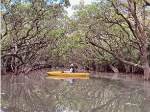 【奄美大島 / 完全送迎 / 1組様限定貸切案内】1日フリーツアー
