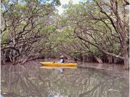 【奄美大島 / 完全送迎 / 1組様限定貸切案内】1日フリーツアーの画像