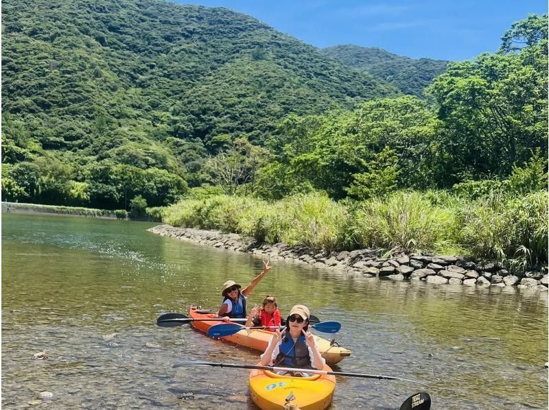 【鹿児島・奄美大島】マングローブカヌーとウミガメシュノーケルと滝ツアーの紹介画像