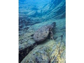 Aqua Vista Kushimoto