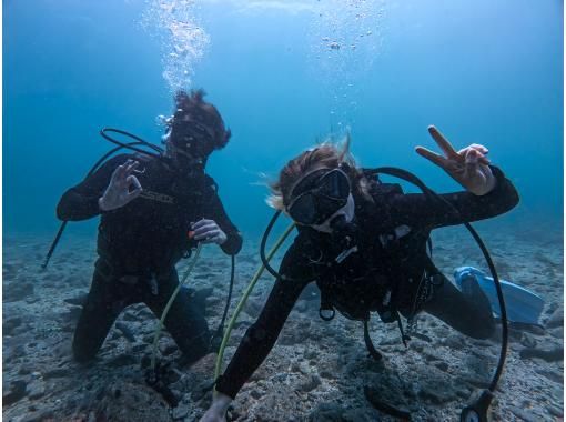 【和歌山・串本・ファンダイビング】 リフレッシュダイビング1ビーチ＋1ボートダイビング　レンタル器材込　初心者・ブランクダイバー大歓迎の画像