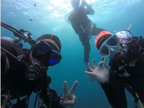 [Wakayama / Kushimoto Fun Diving] Beginners, solo divers and groups welcome. 2 boat dives in the southernmost part of Honshu. A small group that can dive at their own pace.