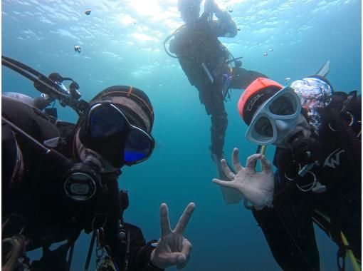 [Wakayama / Kushimoto Fun Diving] Beginners, solo divers and groups welcome. 2 boat dives in the southernmost part of Honshu. A small group that can dive at their own pace.の画像