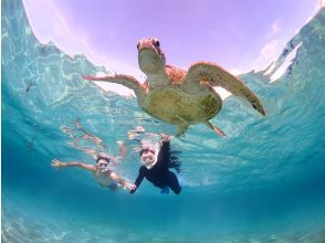 Miyakojima/Fully private, no life jacket required! 《100% encounter rate continues!》 Even closer [Sea turtle snorkeling] ★ Same-day reservations accepted!