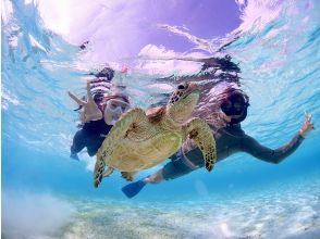 Miyakojima/Fully reserved. No life jacket required! 《100% encounter rate continues!》 Even closer [Sea turtle snorkeling] ★Pick-up and drop-off available! ★Same-day reservations OK!