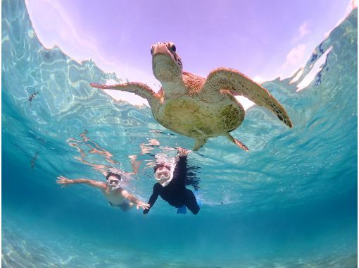 Miyakojima/Fully private, no life jacket required! 《100% encounter rate continues!》 Even closer [Sea turtle snorkeling] ★ Same-day reservations accepted!の画像