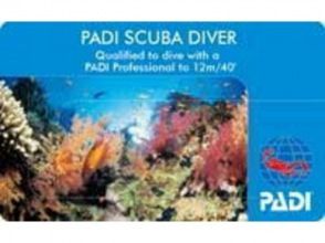 【大阪 新大阪・江坂】PADI・スクーバーダイバー・2日間~コース【ダイビング ライセンス取得】