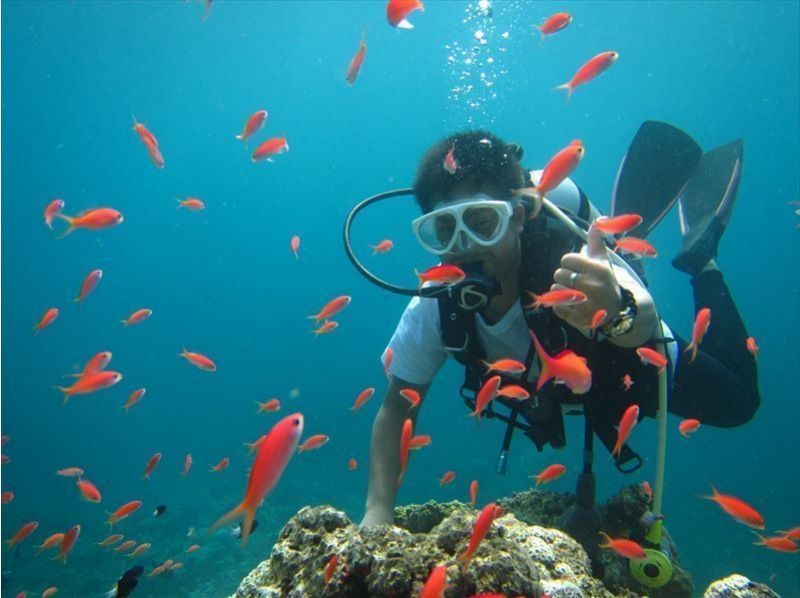 [沖繩石垣島]第一次沒關係！在“石垣島”的海域體驗潛水（半天課程）の紹介画像