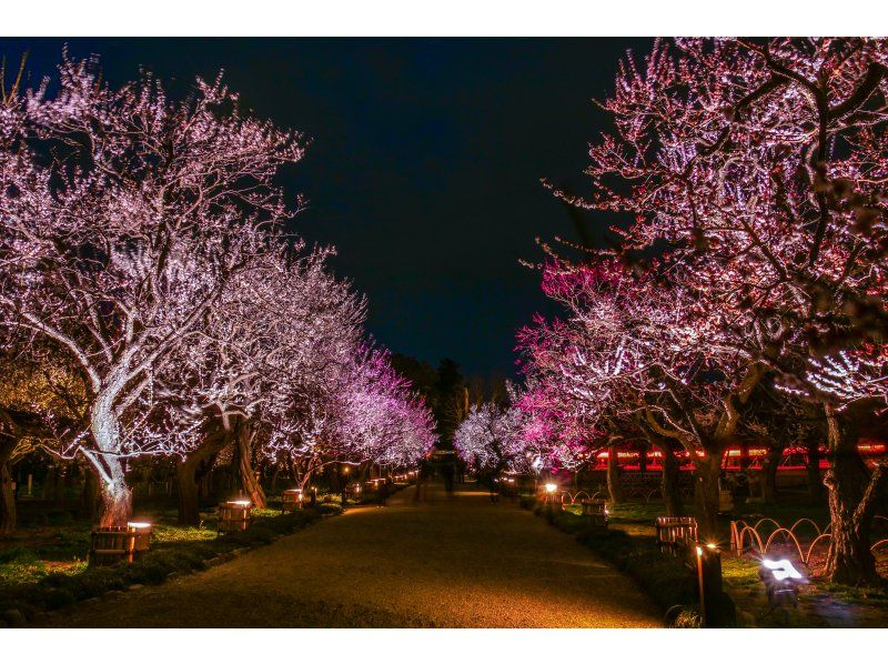 [Japan's Three Most Famous Gardens] Illumination Event "Kairakuen UME The Lights" Ticket Reservation (Ibaraki Mito)の紹介画像