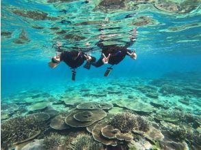 【今帰仁村、美ら海水族館近く、古宇利島】ガイドおすすめ絶景ポイントでビーチエントリーシュノーケリング♪