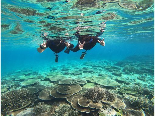 【今帰仁村、美ら海水族館近く、古宇利島】ガイドおすすめ絶景ポイントでビーチエントリーシュノーケリング♪の画像