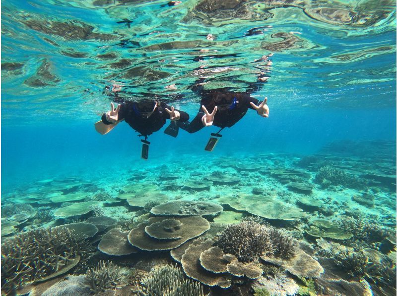 【今帰仁村、美ら海水族館近く、古宇利島】ガイドおすすめ絶景ポイントでビーチエントリーシュノーケリング♪の紹介画像