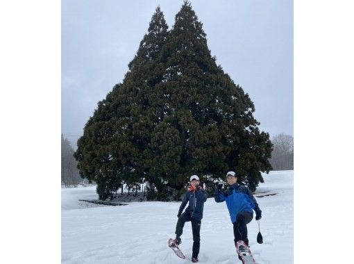 [山形縣/酒川村]2月15日星期六舉行！適合中級玩家！與酒川悠遊俱樂部一起圍繞酒川生態公園進行雪道跑步，含溫泉門票の画像