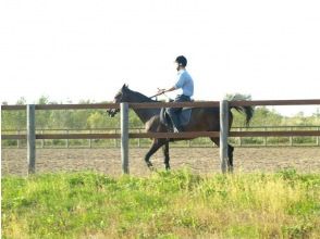 [Hokkaido Nanporo] hose trekking (horse riding 4 times of course)の画像