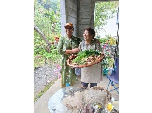 [Okinawa, Motobu] A wild plant tour of the Yanbaru forest with a local grandmother! Includes freshly picked wild plant lunch and wild plant tea.の画像