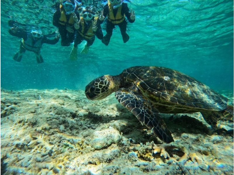 【北海道・SUP体験】透明度の高い支笏湖の湖面をクルージング！SUP体験（半日コース）の画像