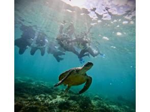 【那覇、糸満】到着後すぐ、帰る日でも間に合う！　ウミガメやカラフル熱帯魚が楽しめるジョン万ビーチでのシュノーケル！ 写真データ＆餌やり無料