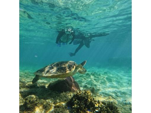 【那覇、糸満】到着後すぐ、帰る日でも間に合う！　ウミガメやカラフル熱帯魚が楽しめるジョン万ビーチでのシュノーケル！ 写真データ＆餌やり無料の画像