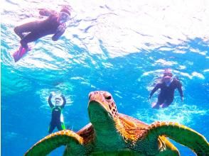 【GOPRO無料・ドローン無料・送迎可】ウミガメ高確率シュノーケルツアー