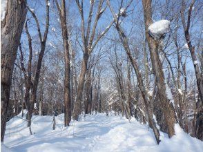 [Niseko Snowshoeing] Explore the snowy forests of Niseko on snowshoes. Enjoy the fantastic scenery that only a snowy country can offer!