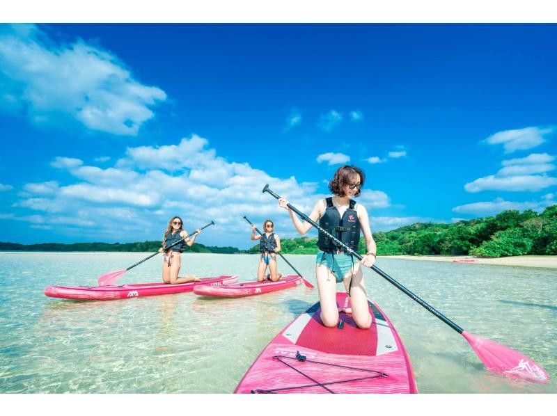 ★学割★【絶景！ 川平湾SUP！】真っ白な砂浜の川平湾を堪能★石垣島NO,1絶景スポット★家族割★当日OK【2時間】送迎・機材・写真無料！の紹介画像