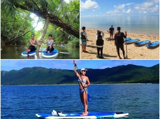 【西表島／１日】世界自然遺産を贅沢に〜SUP 1日貸切/プライベートツアー♪の画像