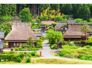 【京都&三山一日遊】金閣寺、嵐山、伏見地區、三山茅吹之鄉散步 *有日文、英文、中文服務（每天從大阪出發）