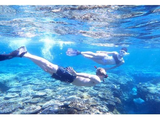 [Departing from Ginowan Marina, Okinawa] Fully-private boat charter [Skin diving, skin diving, off the west coast, 2-hour course] Popular with families and groups!の画像