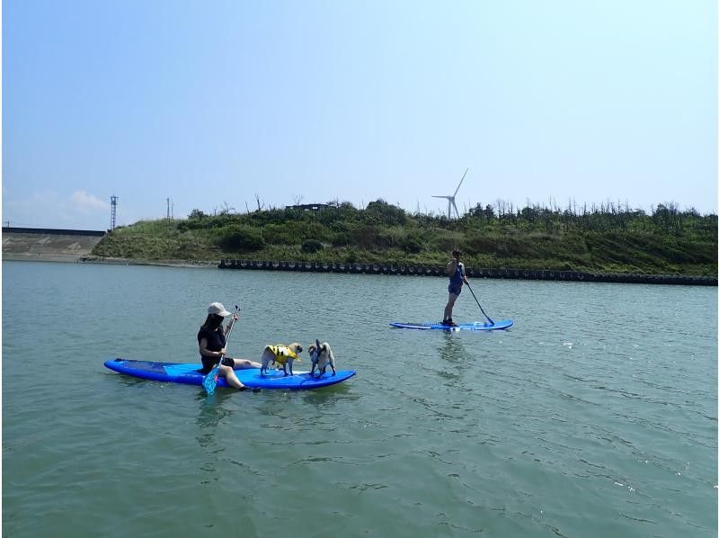 【北海道・SUP体験】透明度の高い支笏湖の湖面をクルージング！SUP体験（半日コース）の画像