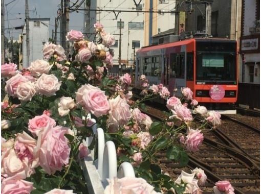 都電荒川線の沿線バラ観賞&個人では見学不可の赤煉瓦酒造工場内部特別観覧＆重要文化財建造物ツアー～洋食ランチ付き【029029-1419】の画像