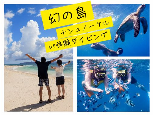 【石垣島・ウミガメ・ニモ/約３時間】幻の島+体験ダイビング☆器材無料★手ぶらでOK!の画像