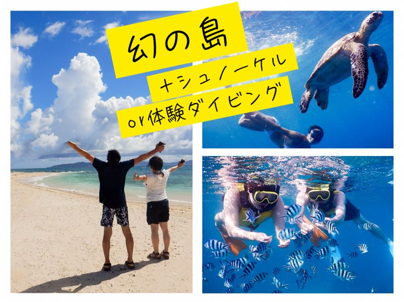 [Ishigaki Island, Sea Turtles, Nemo / About 3 hours] Phantom Island + Trial Diving ☆ Free Equipment ★ Empty-handed OK!の紹介画像