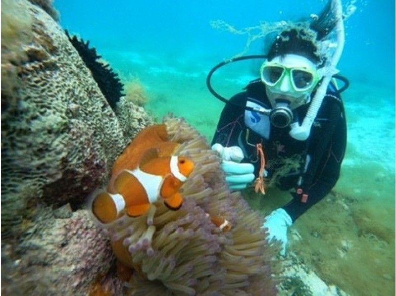 【沖縄・石垣島】ライセンス講習〜PADIオープンウォーターダイバー取得！の紹介画像