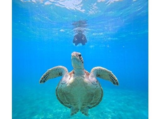 ★宮古島・シギラ内開催★午前！ウミガメと泳ぐシュノーケル★写真データ無料★の画像
