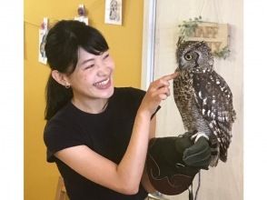 [Wakayama, Iwade City] Experience interacting with owls and reptiles at a cafe! (1 hour)