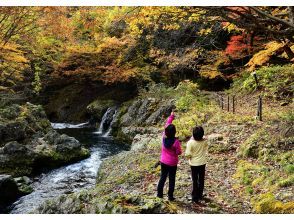 【秋田县八幡平町】享受白神山脉的恩赐，欣赏绝美景色，体验荞麦面制作（往返交通）