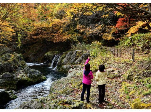 【秋田県 ・八峰町】白神山地の恵み・絶景巡りとそば打ち体験 往復送迎付きの画像