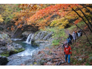 【秋田県 ・八峰町】白神山地の恵み・絶景巡りとそば打ち体験 往復送迎付き