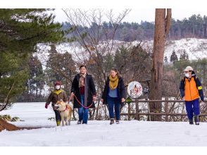 NPO能代觀光協會