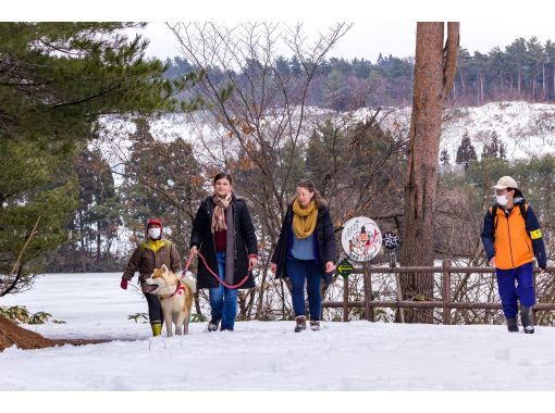 【아키타현・삼종초】아키타견과 자연 워킹＆「된장 츠케키리탄포」 만들기 체험の画像