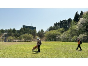 【秋田県・三種町】秋田犬と自然ウォーキング＆味噌つけたんぽつくり体験